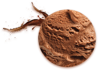chocolate icecream - surenafoods